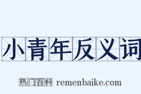 小青年反义词是什么意思的图片